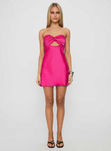 Shellie Mini Dress Hot Pink
