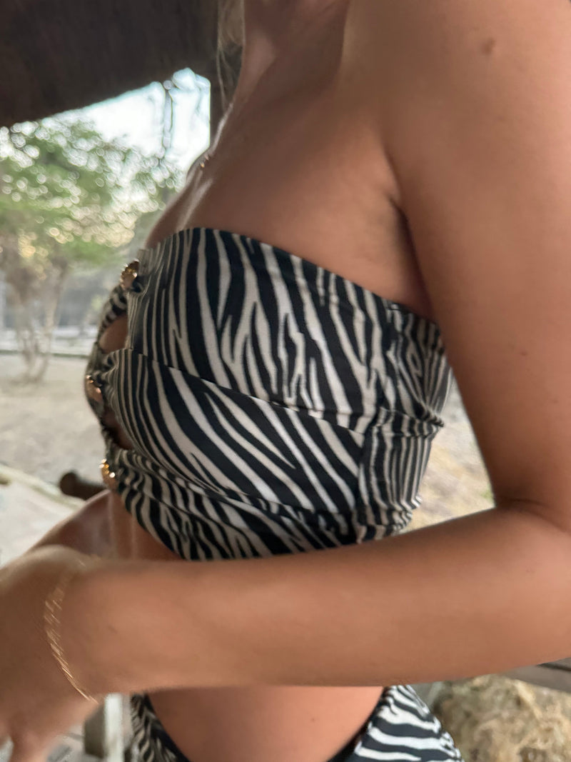 Savute Top